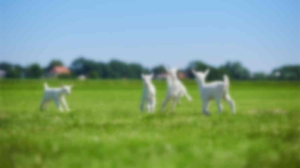 ȫ̷ۣ